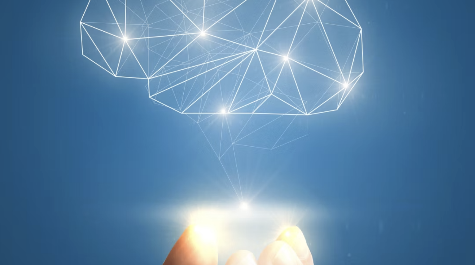 Screenshot 2025-08-14 at 12.25.08 PM